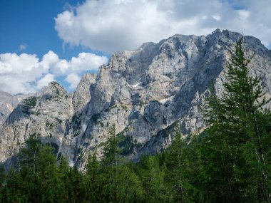 Slovenya 'daki Triglav parkında, mavi bulutlu gökyüzünün altında ve zirvelerinde. Güneşli yaz günü