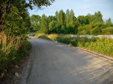 Yazın kırsal kesimde çakıl yolu. Ormanda kuru yol