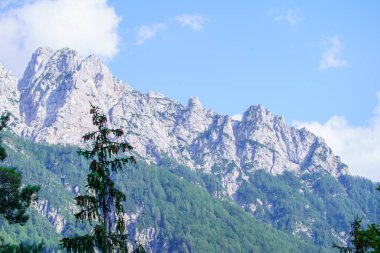 Slovenya 'daki Triglav parkında, mavi bulutlu gökyüzünün altında ve zirvelerinde. Güneşli yaz günü