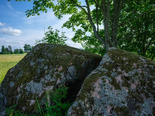 Μεγάλοι Βράχοι Στο Καταπράσινο Καλοκαιρινό Δάσος Κάτω Από Δέντρα Που — Φωτογραφία Αρχείου