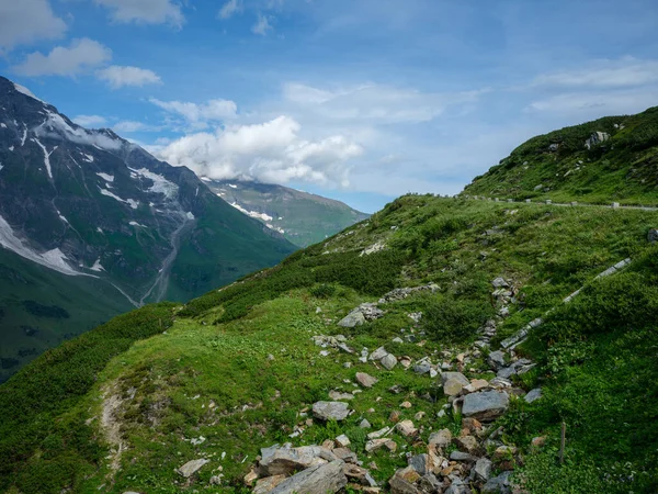 Zomer Groene Alpen Bergen Oostenrijk Met Besneeuwde Toppen Buurt Van — Stockfoto