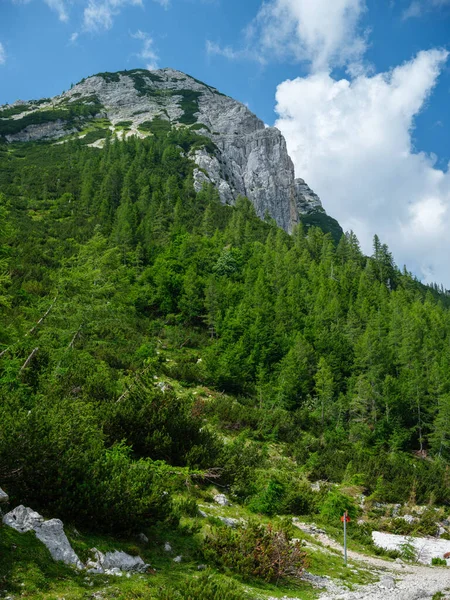 Vârfuri Muntoase Vară Vârfuri Sub Cerul Albastru Tulbure Parcul Național — Fotografie, imagine de stoc