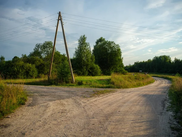 Onverharde Weg Het Platteland Zomer Natuur Droge Weg Door Bos — Stockfoto