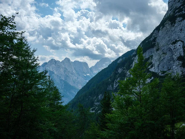 Letní Vrcholy Vrcholy Hor Pod Modrou Oblačnou Oblohou Slovinském Národním — Stock fotografie