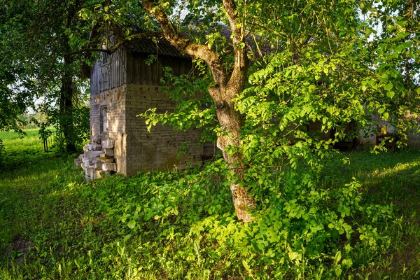 Ancienne Grange Rurale Partir Planches Bois Béton Zone Rurale Été — Photo