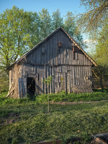 Ancienne Grange Rurale Partir Planches Bois Béton Zone Rurale Été — Photo