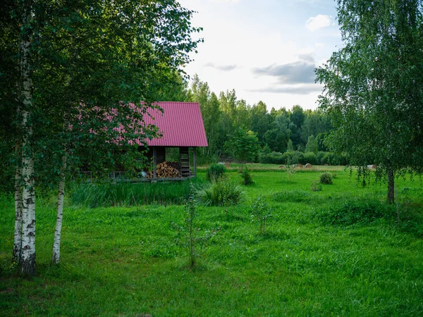 Oude Landelijke Schuur Van Houten Planken Beton Het Platteland Zomer — Stockfoto