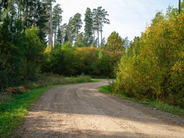 Gravel Road Countryside Summer Nature Dry Road Forest — Stock Photo, Image