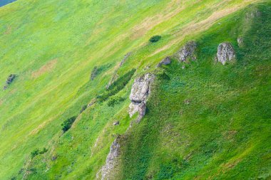 Yazın Slovakya 'da çimlerle kaplı sisli yeşil dağ çekirdekleri. Tatra dağları panorama