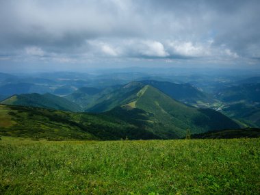 Yazın Slovakya 'da çimlerle kaplı sisli yeşil dağ çekirdekleri. Tatra dağları panorama