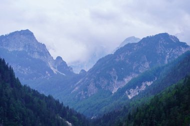 Slovenya 'daki puslu dağlık manzara manzarası, yaz mevsimi kayalıklarda yürüyüş için.