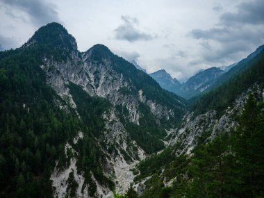 Slovenya 'daki puslu dağlık manzara manzarası, yaz mevsimi kayalıklarda yürüyüş için.