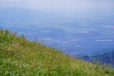 Yazın Slovakya 'da çimlerle kaplı sisli yeşil dağ çekirdekleri. Tatra dağları panorama