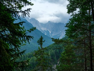 Slovenya 'daki puslu dağlık manzara manzarası, yaz mevsimi kayalıklarda yürüyüş için.