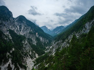 Slovenya 'daki puslu dağlık manzara manzarası, yaz mevsimi kayalıklarda yürüyüş için.