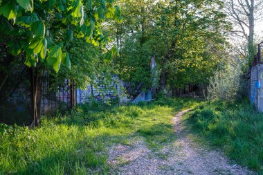 Bakış açısı temiz olan basit asfalt yolu