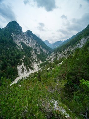 Slovenya 'daki puslu dağlık manzara manzarası, yaz mevsimi kayalıklarda yürüyüş için.