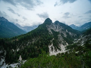 Slovenya 'daki puslu dağlık manzara manzarası, yaz mevsimi kayalıklarda yürüyüş için.