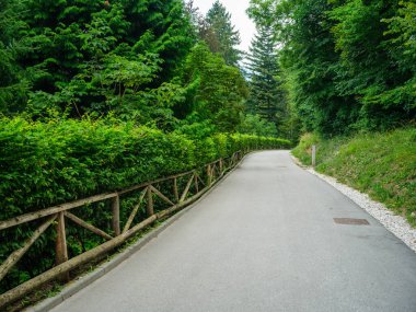 Bakış açısı temiz olan basit asfalt yolu