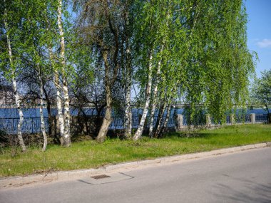 Bakış açısı temiz olan basit asfalt yolu