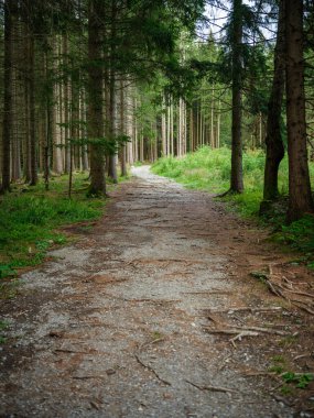 Bakış açısı temiz olan basit asfalt yolu