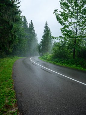 Bakış açısı temiz olan basit asfalt yolu