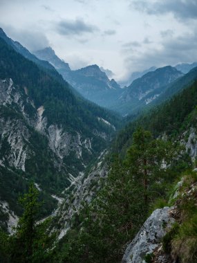 Slovenya 'daki puslu dağlık manzara manzarası, yaz mevsimi kayalıklarda yürüyüş için.
