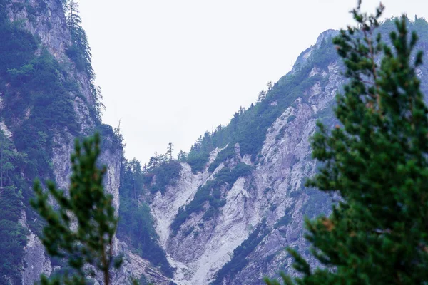Misty Alpin Utsikt Över Bergen Slovenien Sommartid För Vandring Klippor — Stockfoto
