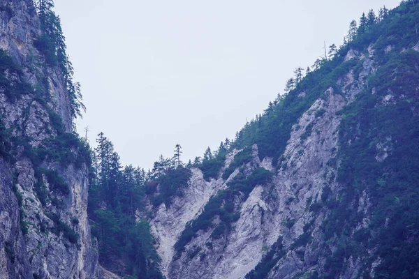 Misty Alpin Utsikt Över Bergen Slovenien Sommartid För Vandring Klippor — Stockfoto