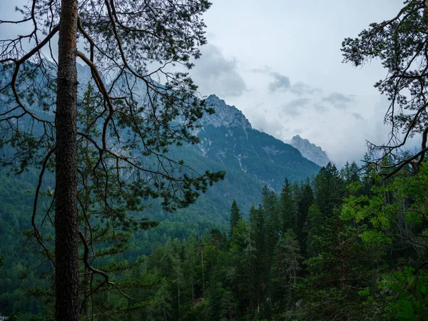 Vue Imprenable Sur Montagne Alpine Slovénie Heure Été Pour Randonnée — Photo