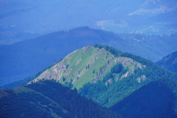 Misty Green Mountain Cores Summer Covered Grass Slovakia Tatra Mountains — Stock Photo, Image
