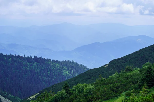 Dimmiga Gröna Bergskärnor Sommaren Täckt Med Gräs Slovakien Tatrabergen Panoraman — Stockfoto