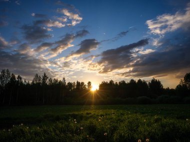 Renkli gökyüzü ile orman ağaçlarının üzerinde dramatik günbatımı bulutları