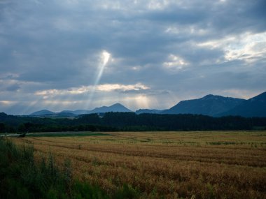 Avusturya 'nın yaz tarlaları ve köyleri üzerindeki dağ zirveleri ve çizgiler