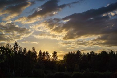 Renkli gökyüzü ile orman ağaçlarının üzerinde dramatik günbatımı bulutları