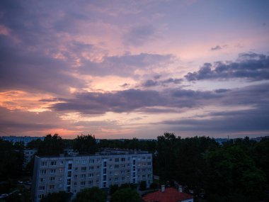 Renkli gökyüzü ile orman ağaçlarının üzerinde dramatik günbatımı bulutları