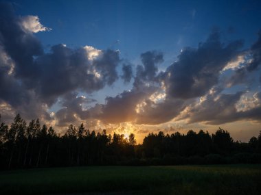 Renkli gökyüzü ile orman ağaçlarının üzerinde dramatik günbatımı bulutları