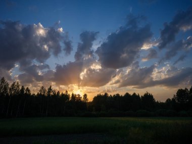 Renkli gökyüzü ile orman ağaçlarının üzerinde dramatik günbatımı bulutları