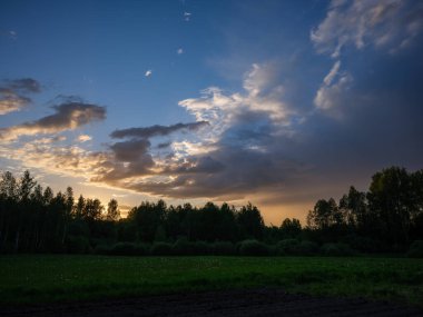 Renkli gökyüzü ile orman ağaçlarının üzerinde dramatik günbatımı bulutları