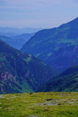 Avusturya 'nın yaz tarlaları ve köyleri üzerindeki dağ zirveleri ve çizgiler