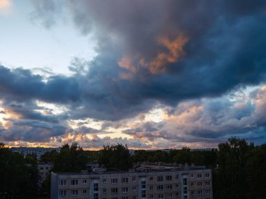 Renkli gökyüzü ile orman ağaçlarının üzerinde dramatik günbatımı bulutları