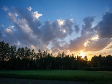 Renkli gökyüzü ile orman ağaçlarının üzerinde dramatik günbatımı bulutları