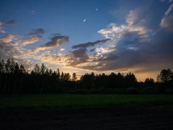 Nuages Coucher Soleil Spectaculaires Sur Les Arbres Forestiers Avec Ciel — Photo