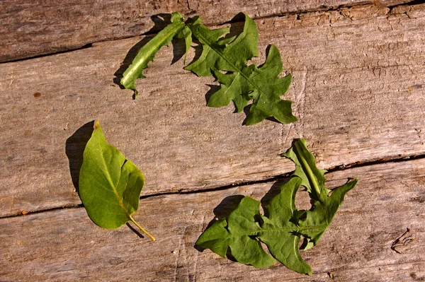 Yeşil karahindiba ve leylak yaprağından oluşan geri dönüşüm sembolü. Yapraklardan yapılmış üç yeşil ok geri dönüşümlü maddelerle ilişkili bir sembol olarak üçgene konuyor. Ahşap arkaplan — Stok fotoğraf