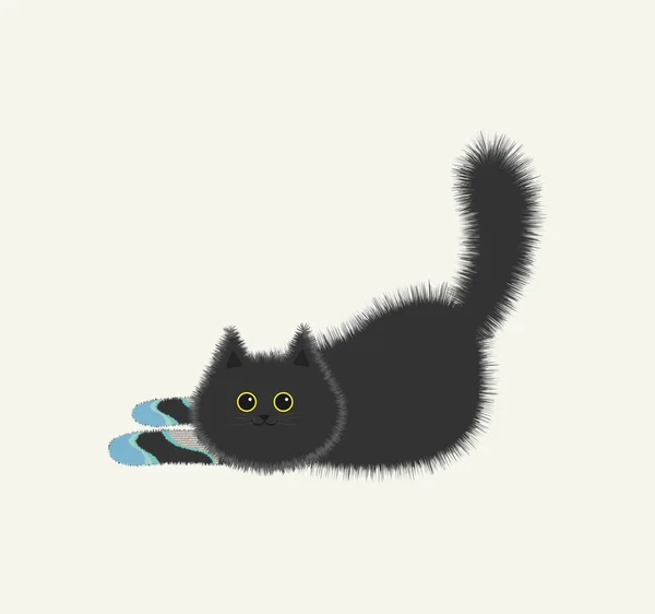 Vecteur Noir Chat Moelleux Chaussettes Colorées — Image vectorielle