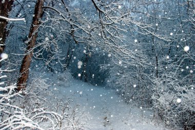 Aralığın ilk günü Ermenistan 'da yoğun kar yağışı