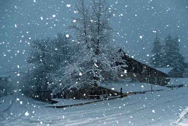 Nevicate Abbondanti Primo Giorno Dicembre Armenia — Foto Stock