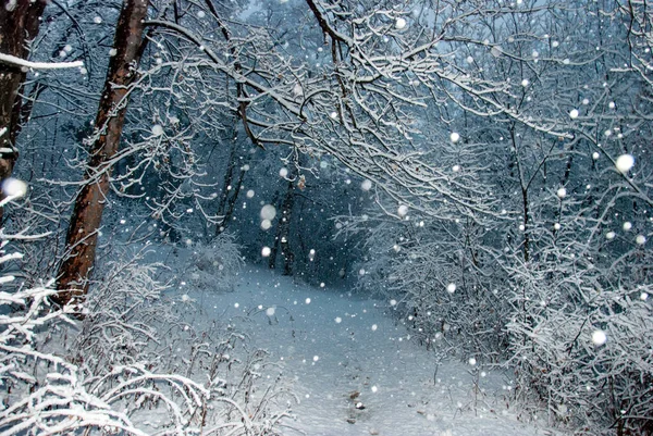 Aralığın ilk günü Ermenistan 'da yoğun kar yağışı