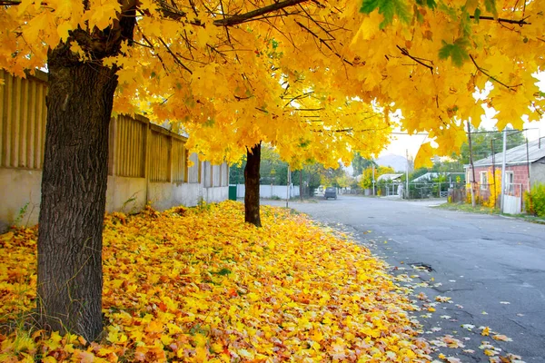 Herfst Landschap Van Stad Vanadzor — Stockfoto