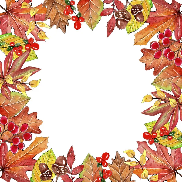 Thanksgiving Frame Arrangement. Autumn Fall Design. — Stock Photo, Image